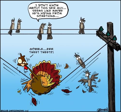 Funny Thanksgiving Pictures