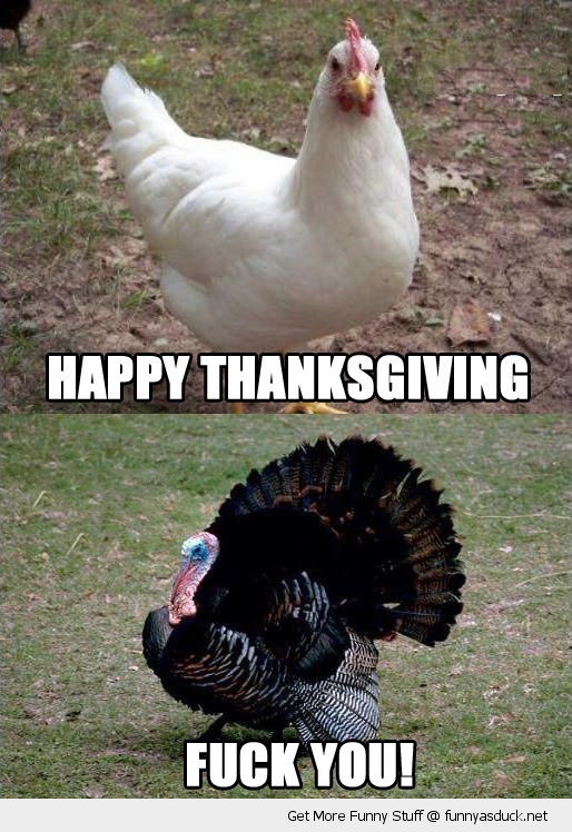 Funny ThanksgivingTurkey Images