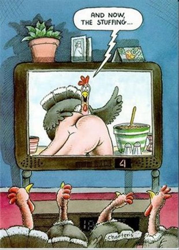 Funny Thanksgivingpictures & images