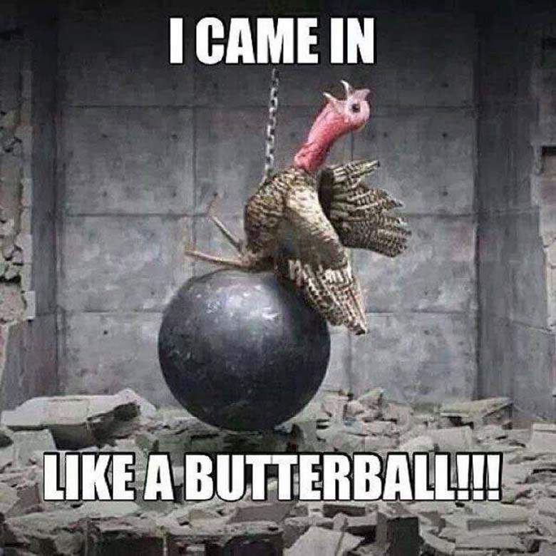 Funny Turkey Pics Images