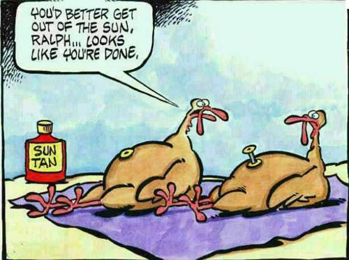 funny Thanksgiving picture quotes