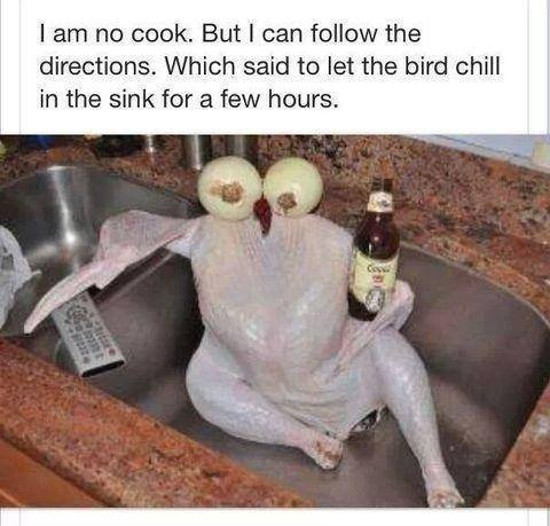 funny Thanksgiving turkey pictures