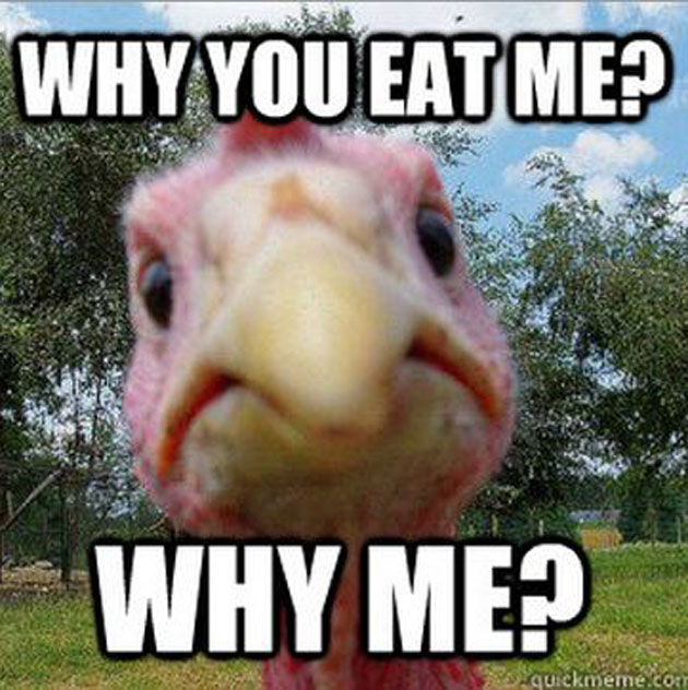 funny Thanksgiving turkey pictures 2020
