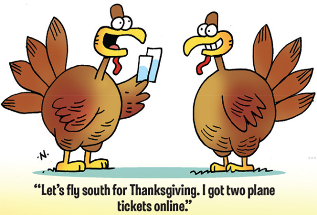 funny Thanksgiving turkey pictures