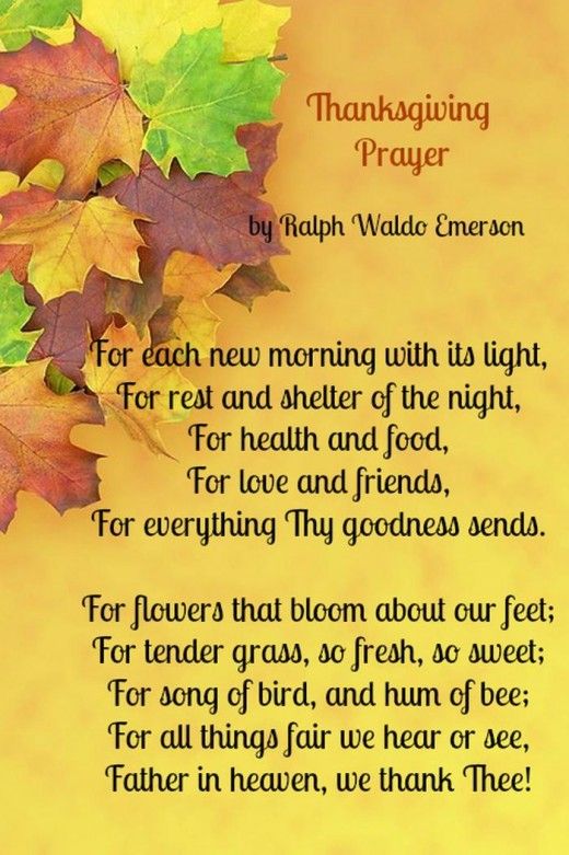 Happy Thanksgiving Prayer