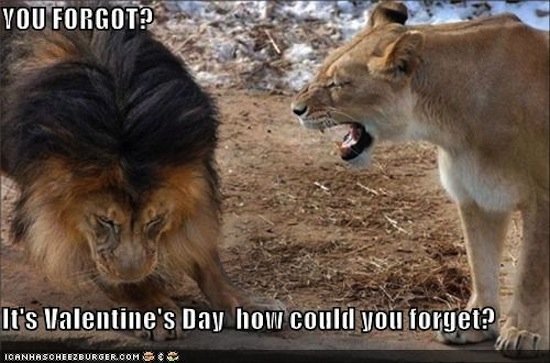 Happy Valentines Day Funny Meme
