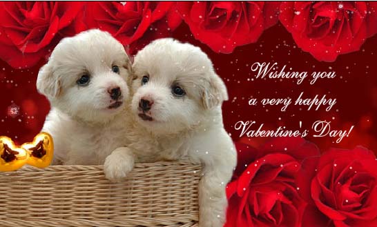 unique valentines day image