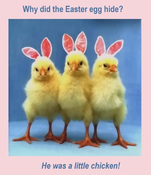 easter bunny quotes