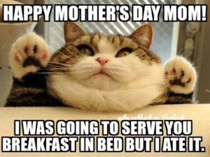 Funny Mothers Day Photos